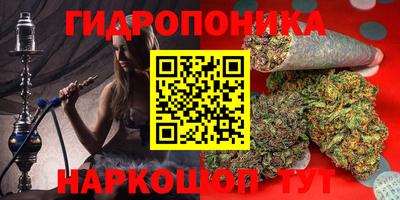 PSILOCYBIN Среднеуральск