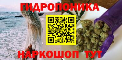 jwh Ставрополь